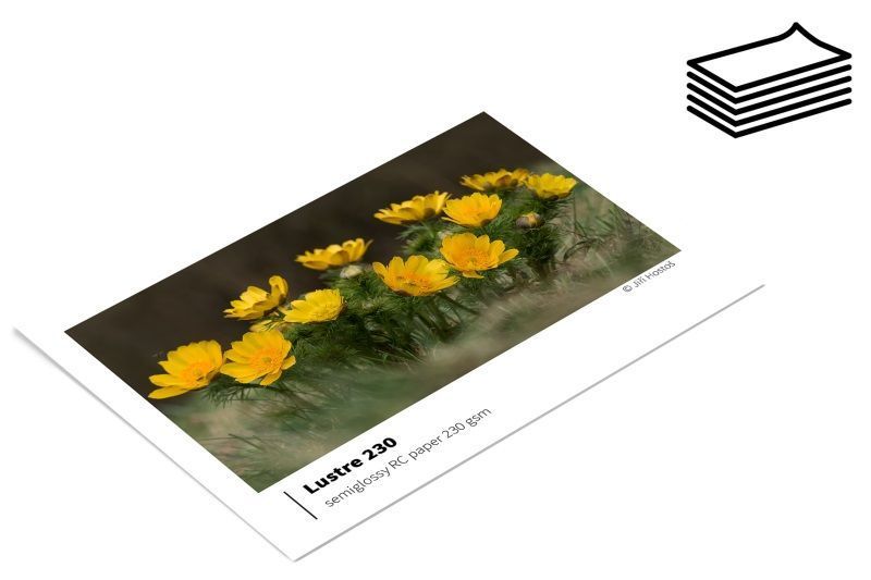 A4/50 | SERIES230 Lustre | kartona