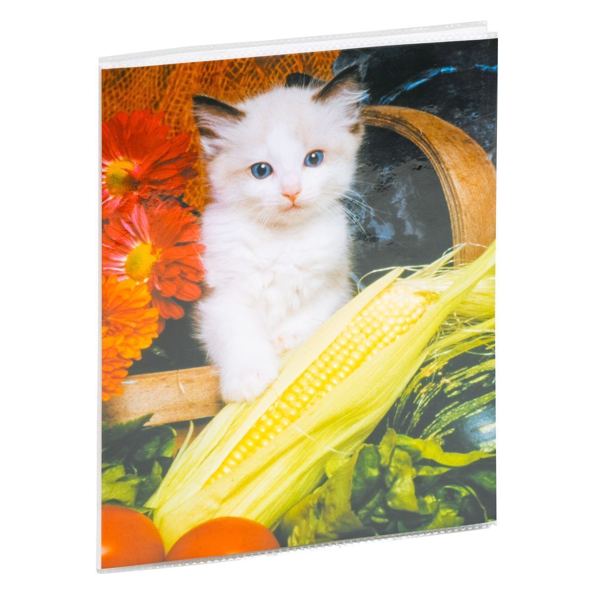 Albums P2-6824 15x20/24, dažādi