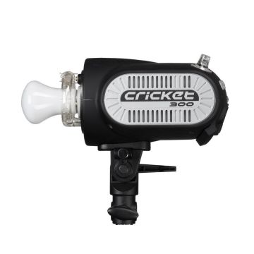 Zibspuldze Fomex Cricket Compact Flash 300Ws