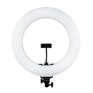 LED Ring Light RING MITOYA RL-480L 45cm Bi-color
