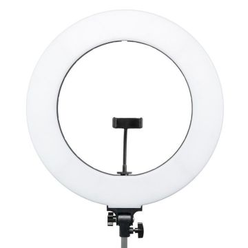 LED ring lamp MITOYA RL-480 45cm Bi-color