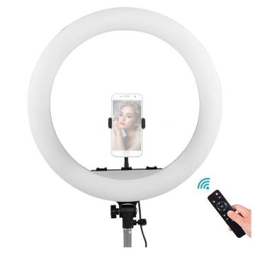 LED Ring Lamp MITOYA MTY-21C 53cm Bi-color