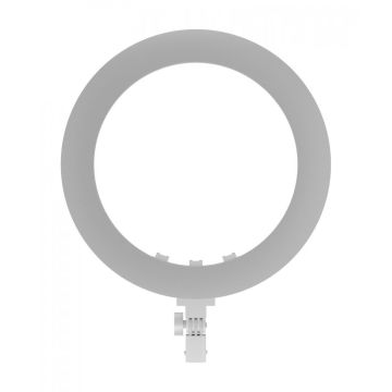 Newell RL-18A LED gredzena gaisma - WB (3200 K - 5500 K) - Arktiskais balts