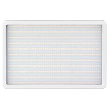 Acara RGB Mitoya LED lampa ar magnētisko tālruņa turētāju
