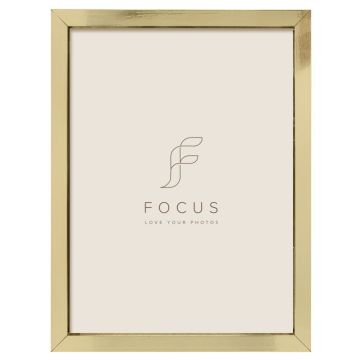 Focus Ivy Zelts 18x24