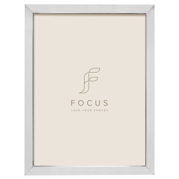 Focus Ivy Sudrabs 24x30