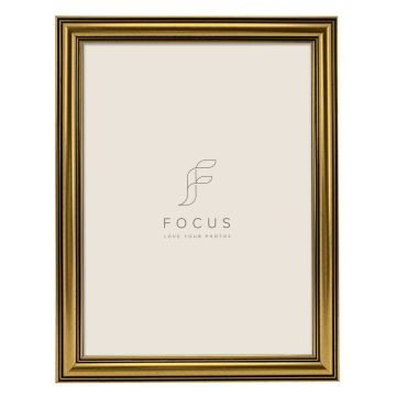 Focus Holly Zelts 13x18