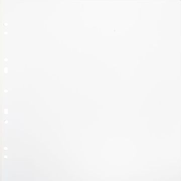 Focus Carton Refillsheets for Ringbinder Gigant White 10-pack