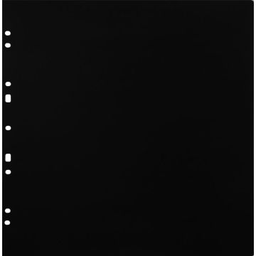 Focus Carton Refillsheets for Ringbinder Gigant Black 10-pack