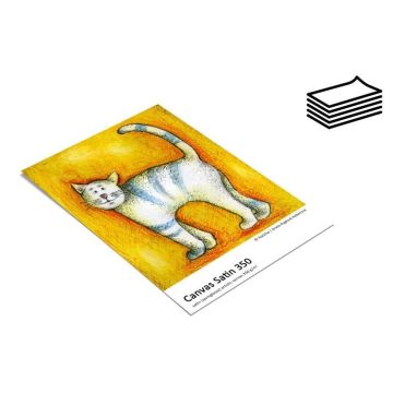 Fomei Canvas Satin 350 inkjet papīrs A4/5 loksnes, izmēģinājuma iepakojums