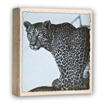 ZEP WL57100 album slip-in 100 photos 13x19 cm - 12 albums
