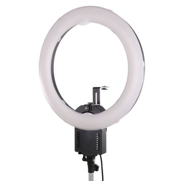 Falcon Eyes FLC-65 65W gredzenveida lampa + TMB-20Z