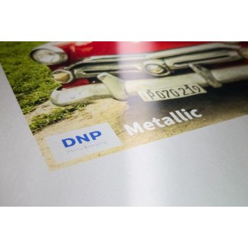 20x30 cm | 110 pcs | DNP DS820 (8x12) Metallic