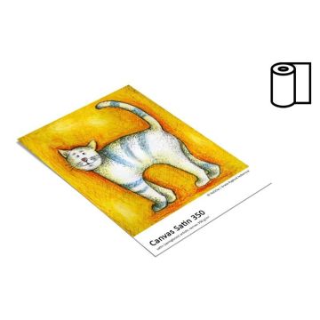 Fomei Collection Canvas Satin 350g/m2 papīrs 61,0cm x 12m