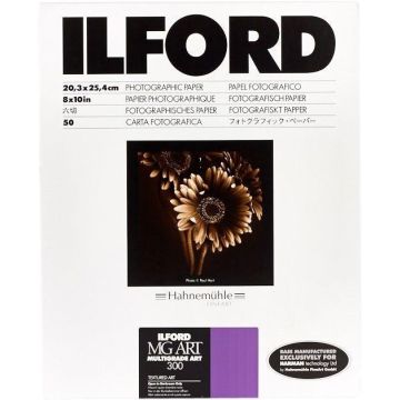 Ilford Multigrade Art 300 12,7x17,8 50 Loksnes