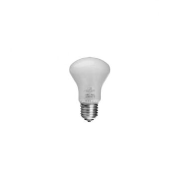 Modelējošā lampa 100W/220V E27