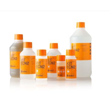 Bellini ECN-2 color motion picture negative film processing kit, 1 liter