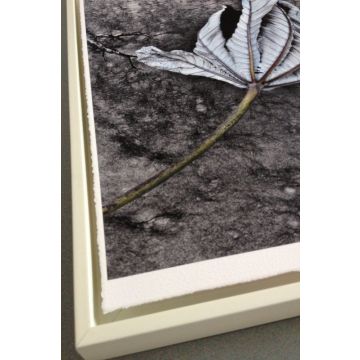 A3+/25 William Turner 310 Deckle Edge Hahnemühle