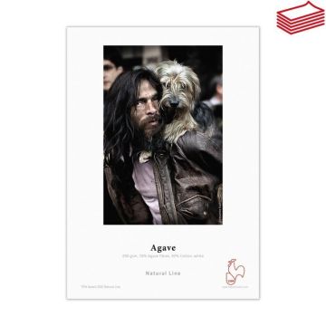 A4/25 Agave 290 Archival Box Hahnemühle