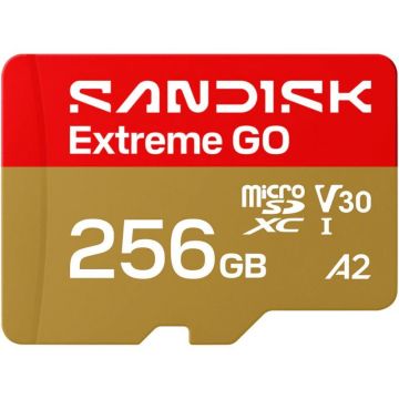 Sandisk memory card microSDXC 256GB Extreme Go UHS-I