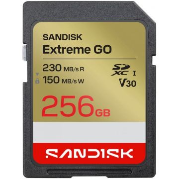 SanDisk Extreme GO SDXC memory card 256GB UHS-I