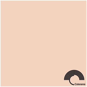 Colorama papīra fons 2,72 x 11 m Oyster