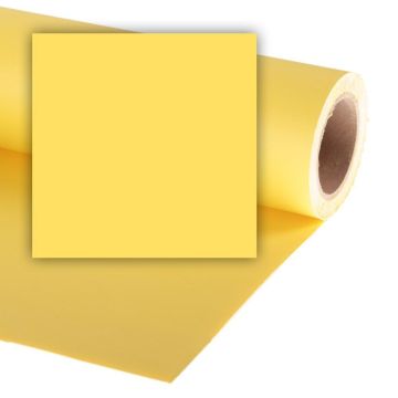 Colorama papīra fons 2,72 x 11 m Dandelion