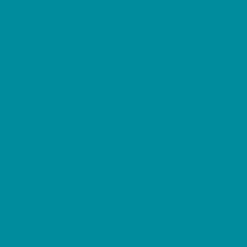 Fomei karstumizturīgs filtrs SLS-HT 116 Medium Blue Green 61x53cm