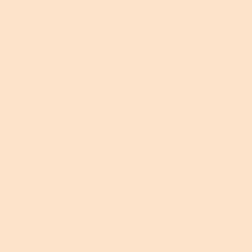 Fomei karstumizturīgs filtrs SLS-HT 223 garais aprēķins oranžs 61x53cm