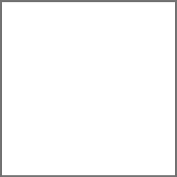 Fomei Karstumizturīgs filtrs SLS-HT 250 Half White Diffusion 61x53cm