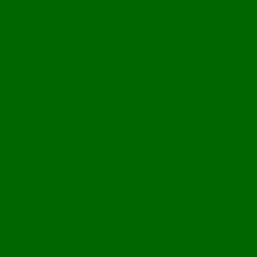 Fomei Karstumizturīgs filtrs SLS-HT 124 Dark Green 1,22x7,62m