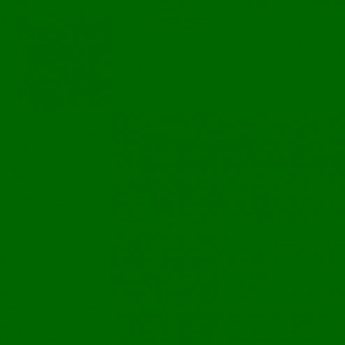 Fomei Karstumizturīgs filtrs SLS HT-124, tumši zaļš 61x53cm