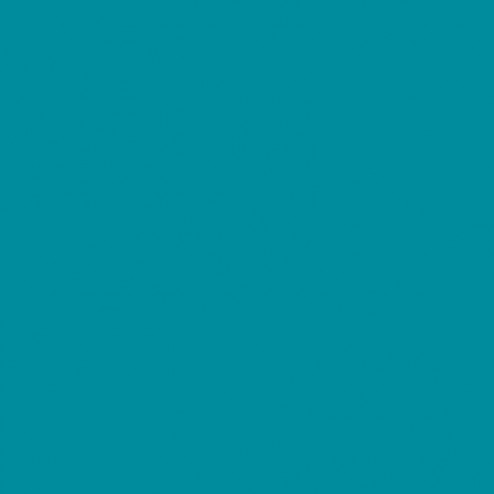 Fomei Karstumizturīgs filtrs SLS-HT 116 Medium Blue Green 1,22x7,62m