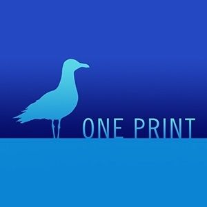 DNP DS-RX1HS photo printer with software ONE Print - 2