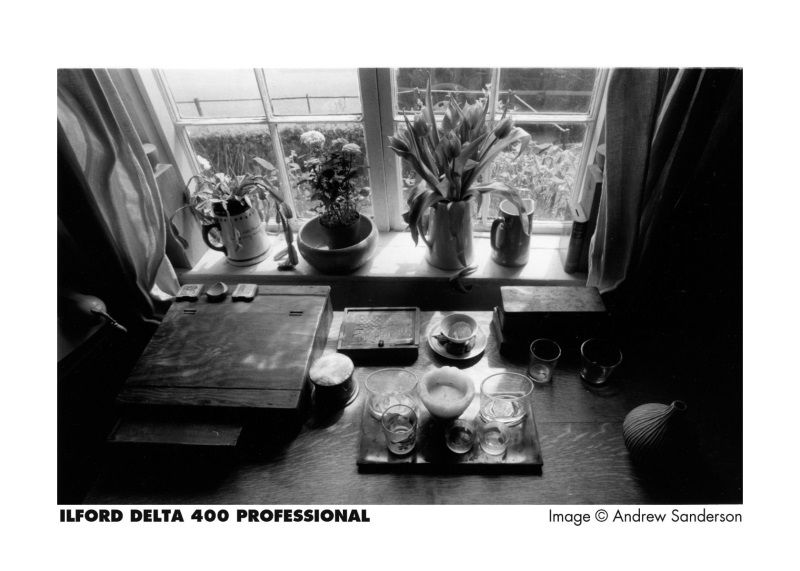 Delta 400  135/24 black and white negative film, ILFORD
