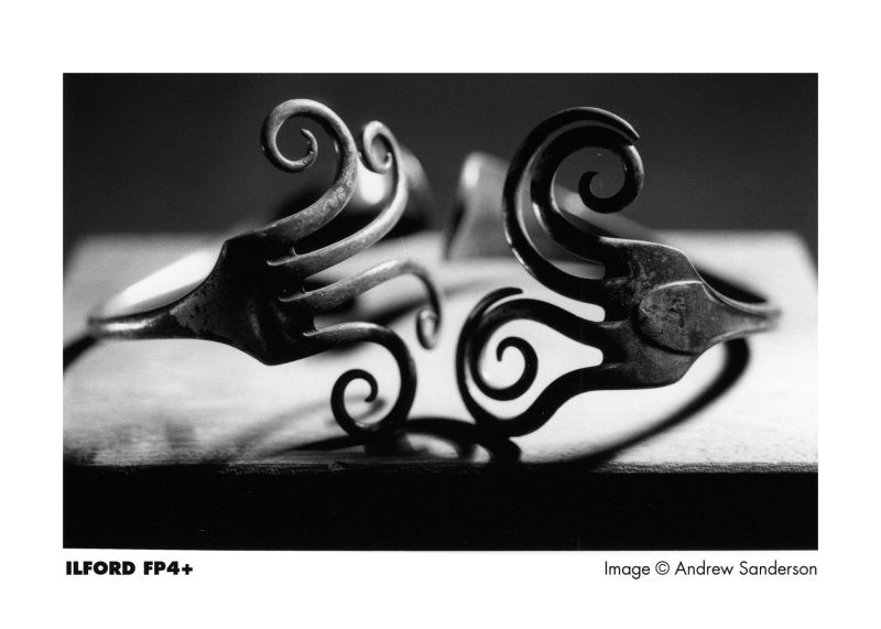 FP4 Plus 135/24 black and white negative film, ILFORD