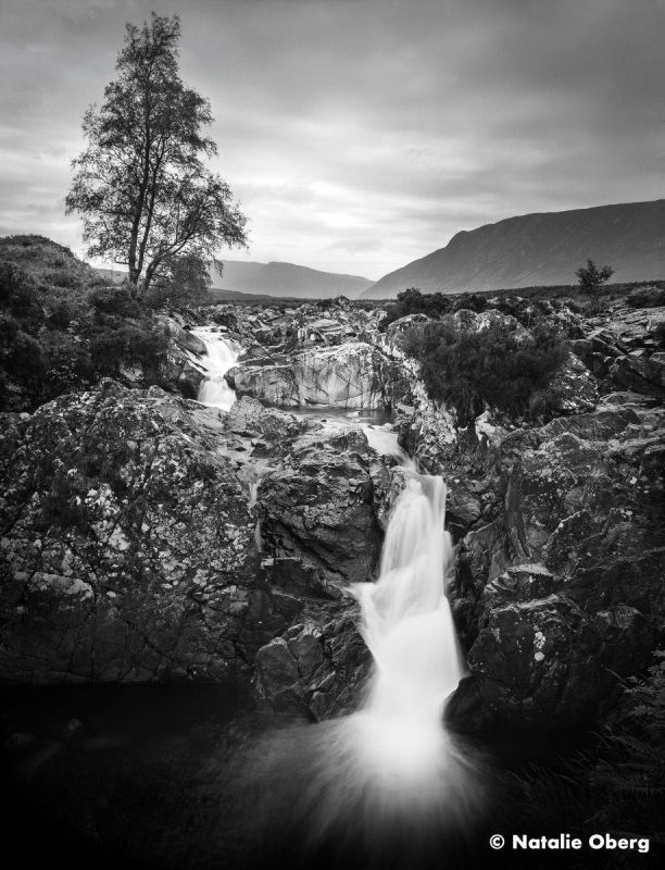 ORTHO PLUS 135/36, black and white film, ILFORD