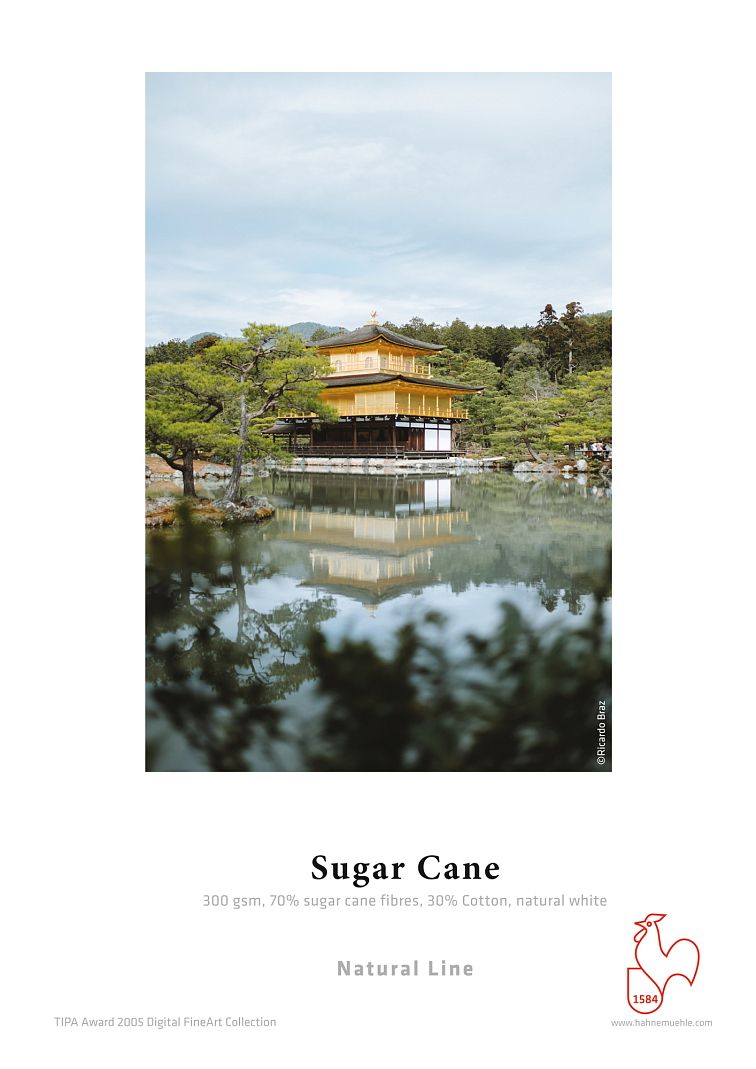 10x15 cm/30 Sugar Cane 300 Photo Cards Hahnemühle - 3