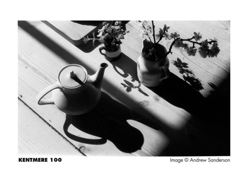 Kentmere 100 135/24 melnbaltā foto filma