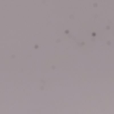 Sensor before cleaning