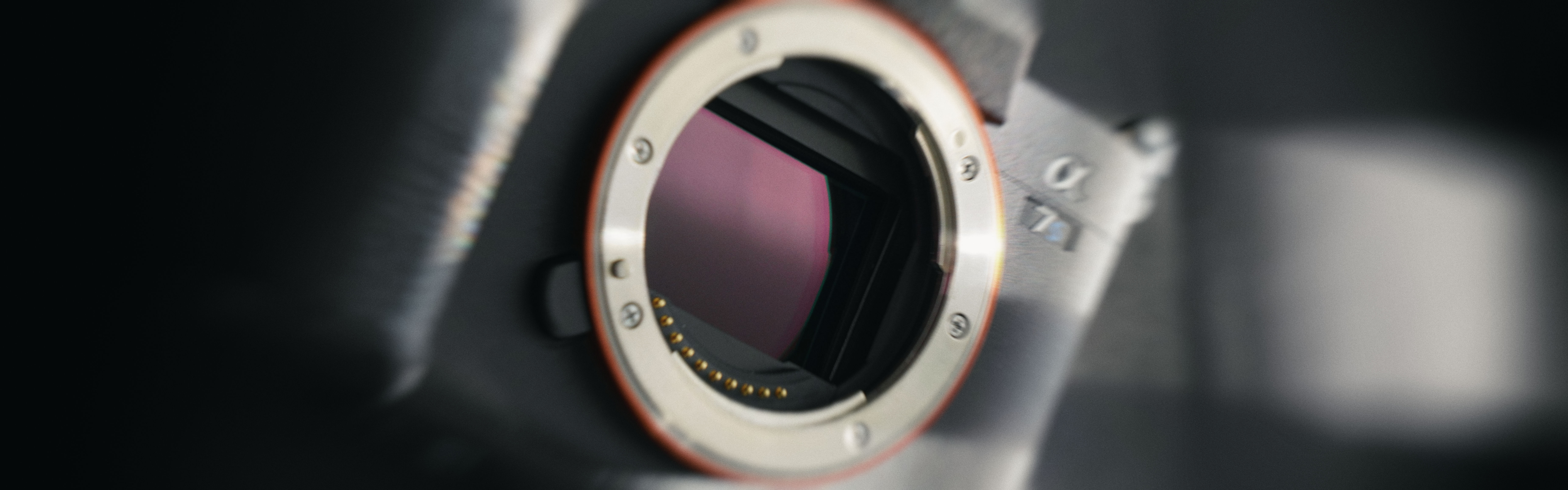 Professional camera sensor cleaning